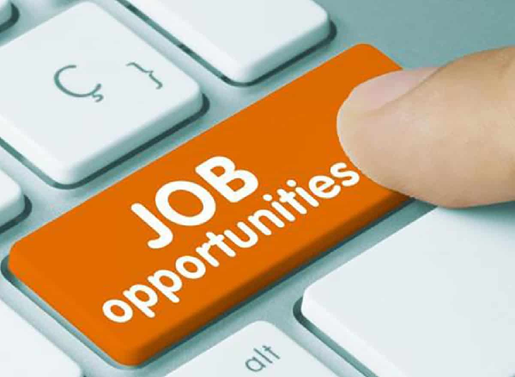 Job Alert : नौकरी की तलाश कर रहे उम्मीदवारों के लिए बेहतरीन मौका, यहां 48 पदों पर निकली भर्ती