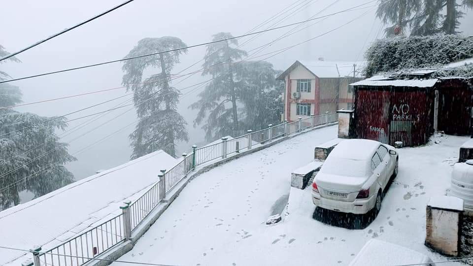 Snowfall : शिमला में साल की पहली बर्फबारी, पर्यटकों के चेहरे खिले खिले