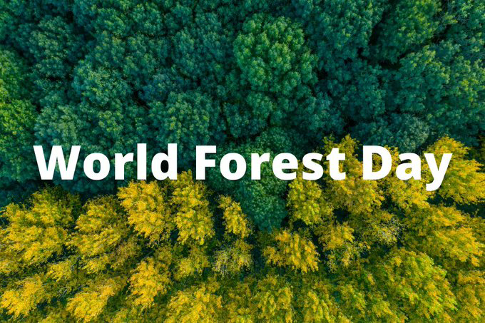 World Forest Day : देश में पेड़ों पर आधारित कृषि को बढ़ावा देगा वन, पर्यावरण मंत्रालय, चंदन सहित 4 किस्म के पेड़ों के लिए बनाई कार्ययोजना