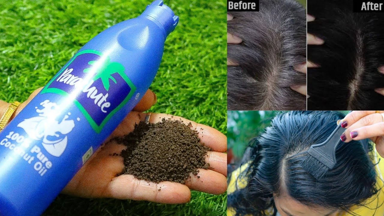 Hair Care: नारियल तेल में इन चीजों को मिलाकर लगाये , सफेद बाल फिर से होंगे  काले | Coconut Oil For Premature White Hair Problem Treatment Mix Mehndi  And Indian Gooseberry Amla -