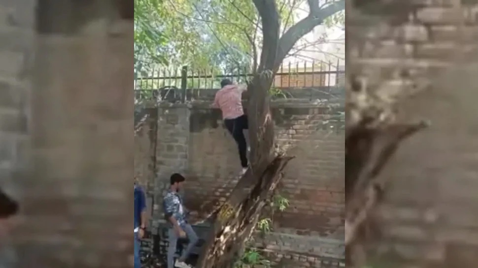 Delhi: दिवाली उत्सव देखने के लिए मिरांडा हाउस की दीवार फाँदते दिखे बाहरी युवक, अभद्र टिप्पणी का आरोप- देखें विडियो