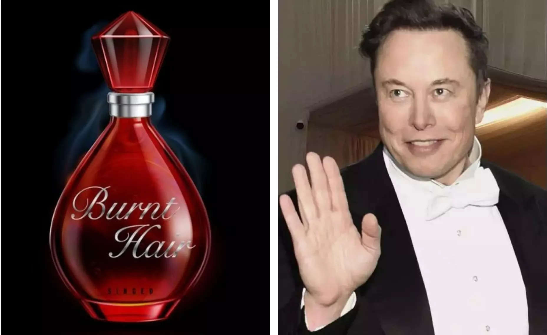 Elon Musk Perfume: एलन मस्क ने Brunt Hair ब्रांड का Perfume लांच किया,जिसे दुनिया की सबसे अच्छी खुशबू बताया है
