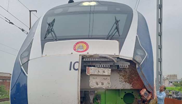 वंदे भारत एक्सप्रेस: ​​मुंबई से गांधीनगर ट्रेन का हुआ हादसा, भैंसों के झुंड से टकराई, इंजन क्षतिग्रस्त