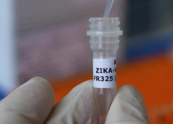 Zika Virus: पांच साल की बच्ची कर्नाटक में जीका वायरस से संक्रमित, स्वास्थ्य विभाग अलर्ट पर