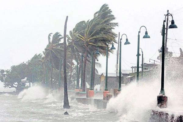 चक्रवाती तूफान मैंडूस ने तमिलनाडु में मचाई तबाही, चार लोगों की मौत, चेन्नई में 400 पेड़ उखड़े