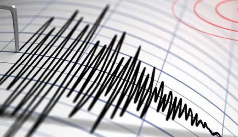 Indonesia में भूकंप के तेज झटके, 7.9 रही रिक्टर स्केल पर तीब्रता