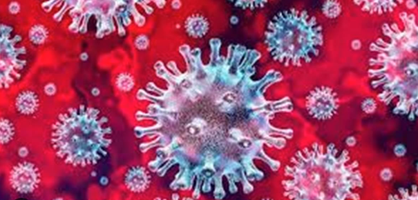 लगातार बढ रही कोरोना महामारी……बीते 24 घंटों में आए 5 हजार से अधिक मामले…..6 लोगों ने तोड़ा दम