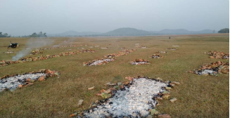 छत्तीसगढ़ में नक्सलियों ने तेंदूपत्ता की बोरियों को आग के हवाले किया
