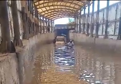 यूपीः मुरादाबाद में अंडरपास में भरा बाढ़ का पानी, कई वाहन फंसे