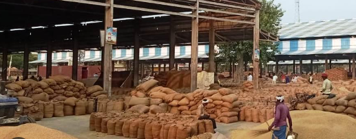 Gharaunda grain market