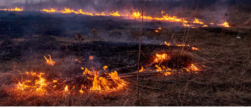 हरियाणाः कुरुक्षेत्र के दयालपुर गांव में फसल में लगी आग, हजारों का नुकसान