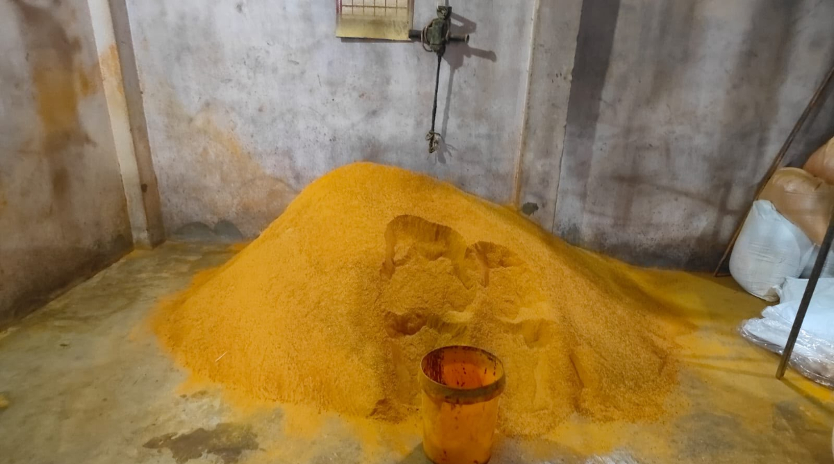 चावल से बन रही थी हल्दी! कानपुर में मिलावट फैक्ट्री का भंडाफोड़