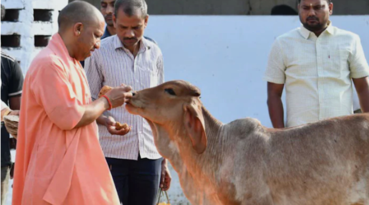 गो संरक्षण से जुड़ेगी नई पीढ़ी, यूपी में 10,000 गो मित्र किए जाएंगे तैयार