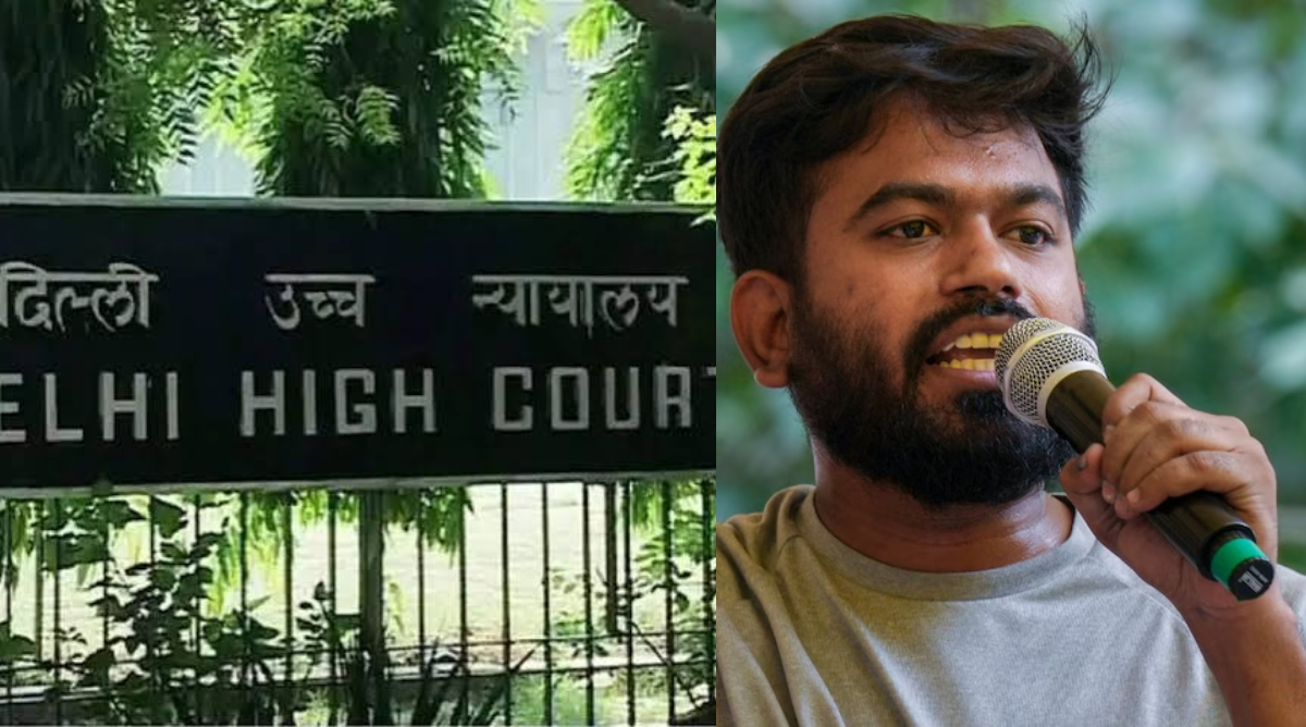 हाईकोर्ट का तिरंगा मार्च पर रोक लगाने से इनकार, दिल्ली पुलिस का आश्वासन; कहा - 'कार्रवाई करेंगे...'